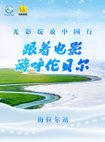 国产91在线观看