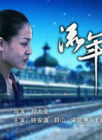 安森夫妇
