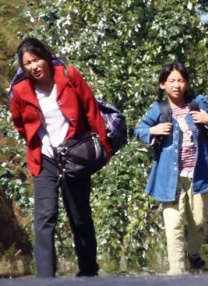 欧美日韩成人一区