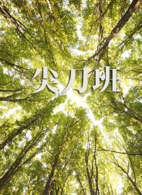 在线观看不卡