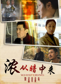 久久成人综合