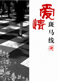 女友的大胸姐姐