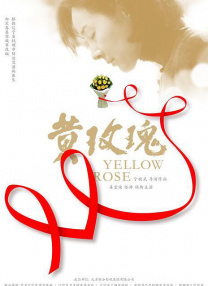 国内精品久久久久久网站