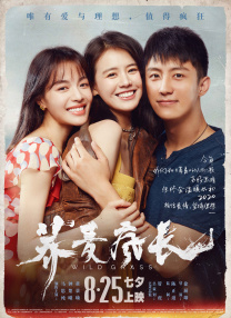 女m vk