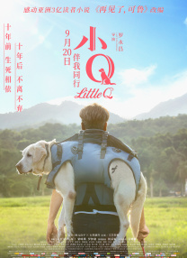 精品久久久久久国产免费了