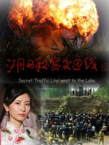 免费观看的av