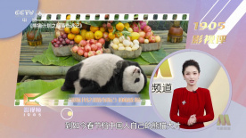 十二寡妇肉床艳史完整版